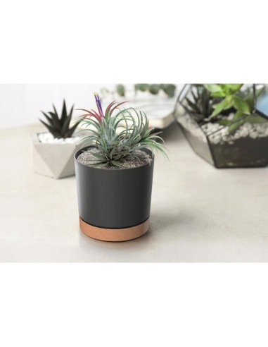 Doniczka tubo pm antracyt 13cm