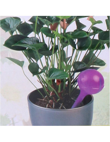 Automatyczna konewka dozownik kula do nawadniania 250ml fiolet