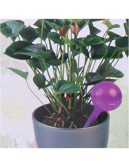 Automatyczna konewka dozownik kula do nawadniania 250ml fiolet