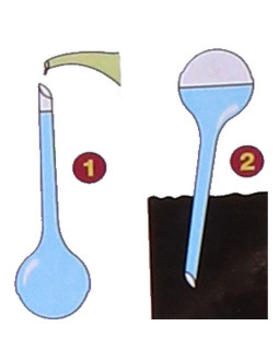 Automatyczna konewka dozownik kula do nawadniania 250ml niebieski 2