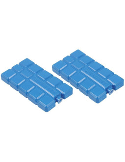 Wkład do lodówki 2x200gr