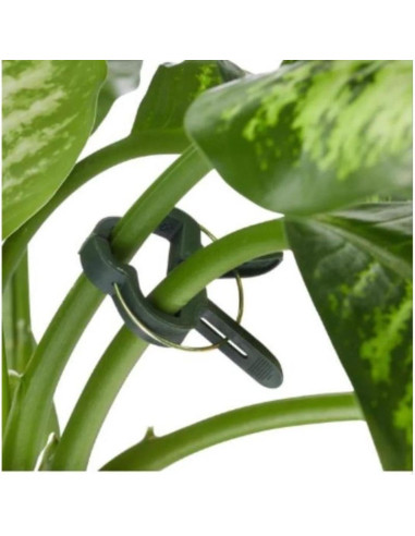 Spinki klipsy do roślin 20szt kinzo