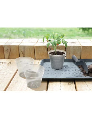 Doniczka planti przeźroczysta 12cm