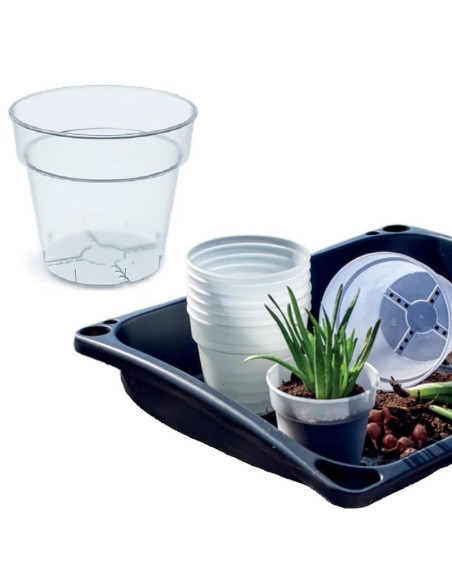 Doniczka planti przeźroczysta 12cm