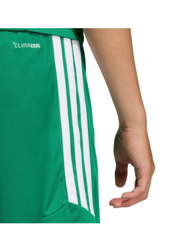 Spodenki dla dzieci adidas tiro 26 league zielone ka8812