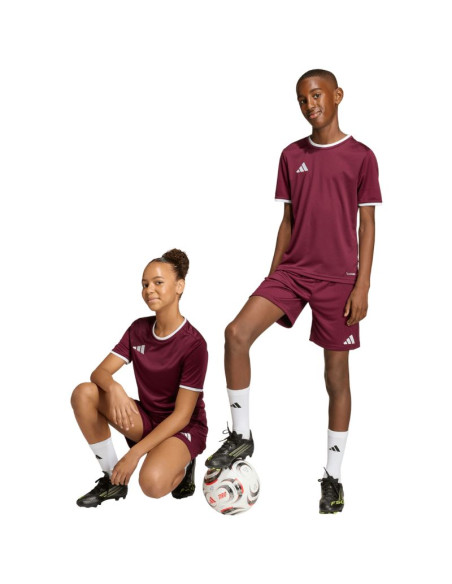 Spodenki dla dzieci adidas entrada 26 bordowe jz6527