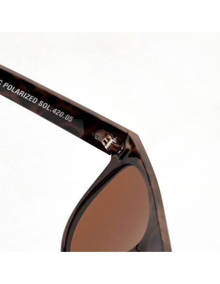 Okulary iguana izard