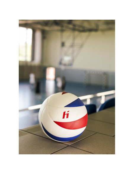 Piłka do siatkówki huari seagulls