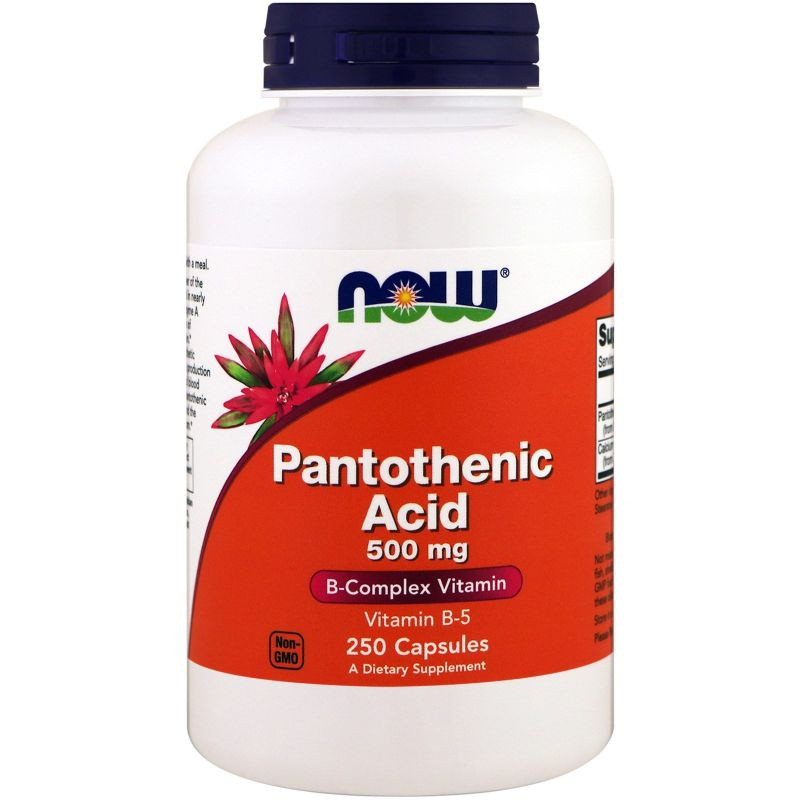 Pantothenic Acid - Kwas Pantotenowy (Witamina B5) 500 mg (250 kaps.)