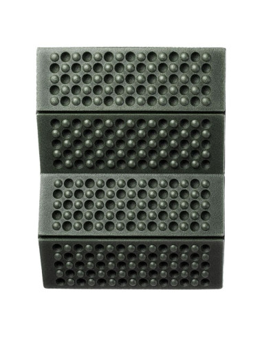 Karimata martes pilgrim