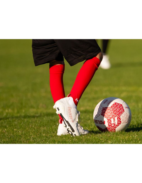 Piłka huari polska world cup