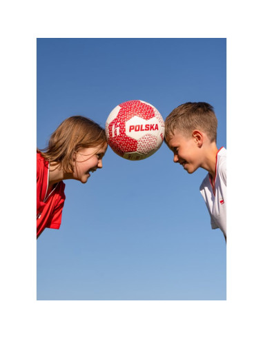 Piłka huari polska world cup