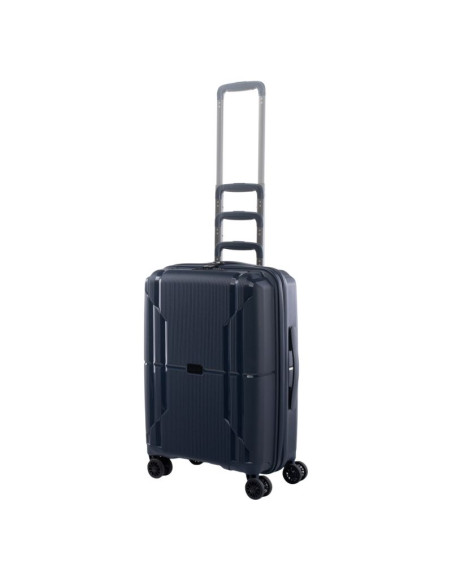 Walizka iguana sydney