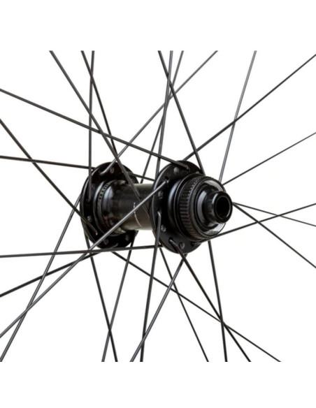 Wtb koło proterra i23x700x przód 100x12 28 6 śrub