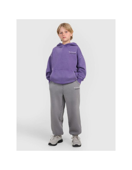 Spodnie dresowe joggery chłopięce 4f 4fjraw25ttrom1528-24s