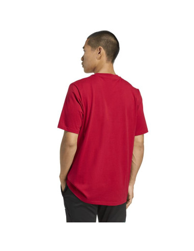 Koszulka adidas liverpool fc seasonal dna graphic tee 2 jy3466