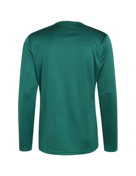Koszulka męska adidas entrada 26 long sleeve jersey zielona kf5846