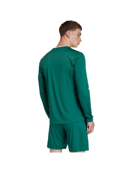 Koszulka męska adidas entrada 26 long sleeve jersey zielona kf5846