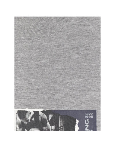 T-shirt regular z nadrukiem męski 4f 4fraw25ttshm3364-27m