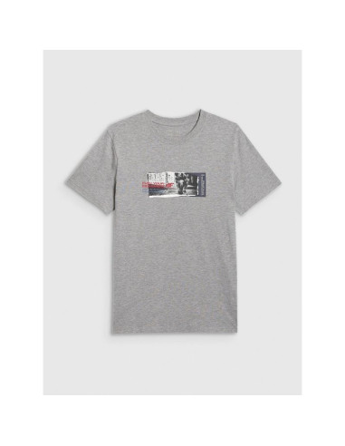 T-shirt regular z nadrukiem męski 4f 4fraw25ttshm3364-27m