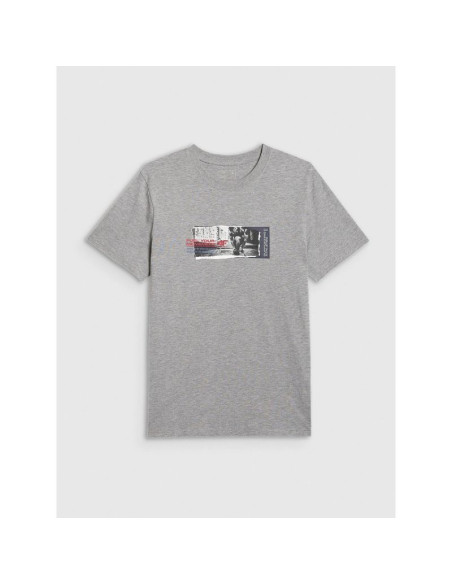 T-shirt regular z nadrukiem męski 4f 4fraw25ttshm3364-27m