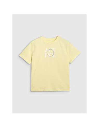 T-shirt z nadrukiem damsk 4f 4fraw25ttshf3229-73s