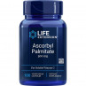 Ascorbyl Palmitate 500 mg (100 kaps.)