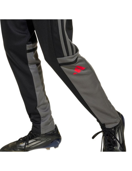 Spodnie adidas squadra 25 training jr