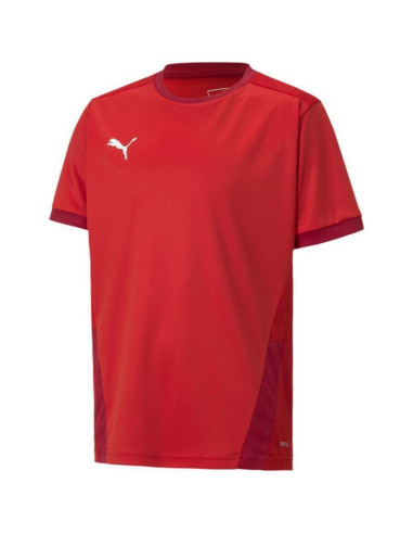 Koszulka puma teamgoal 23 jersey jr 704160