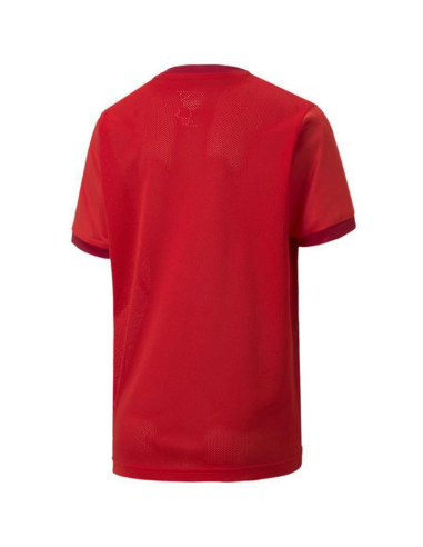 Koszulka puma teamgoal 23 jersey jr 704160