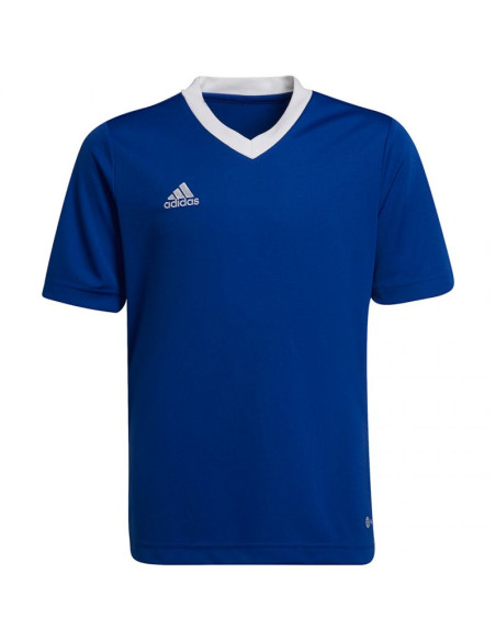 Koszulka adidas entrada 22 jsy jr