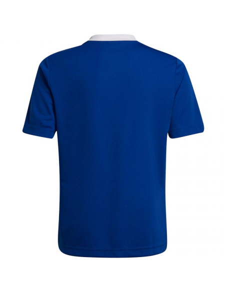 Koszulka adidas entrada 22 jsy jr
