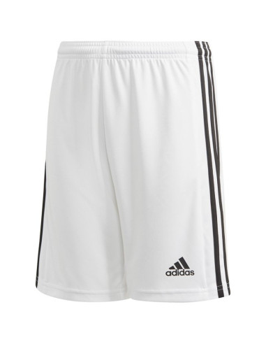 Spodenki adidas squadra 21 short jr