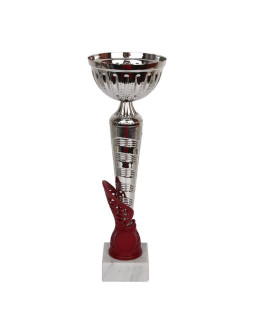 Puchar tryumf w1916b