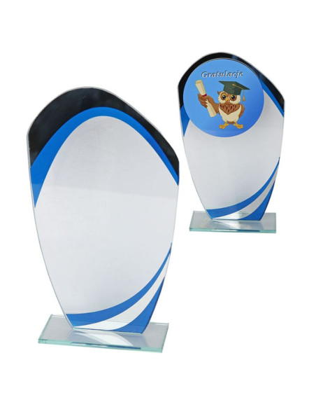 Trofeum szklane w553.09