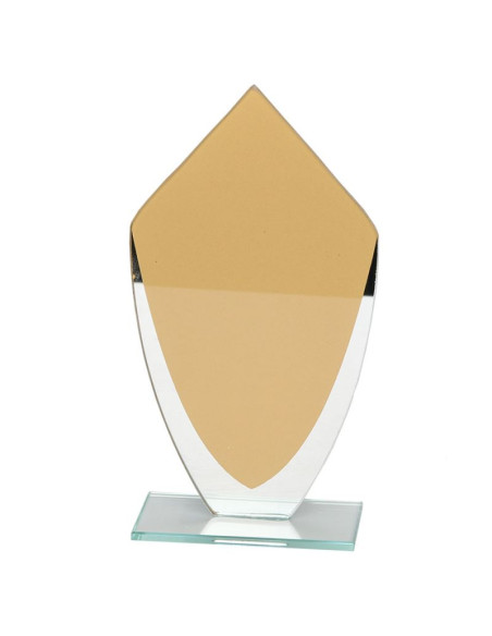 Trofeum szklane w283