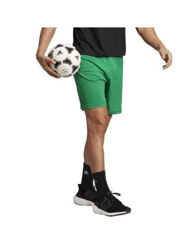Spodenki adidas entrada 22 short m ic7405