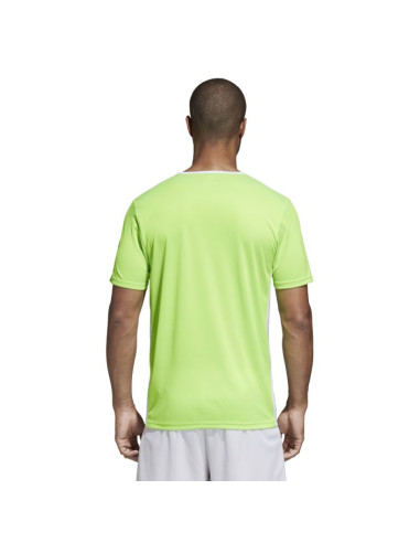 Koszulka piłkarska adidas entrada 18