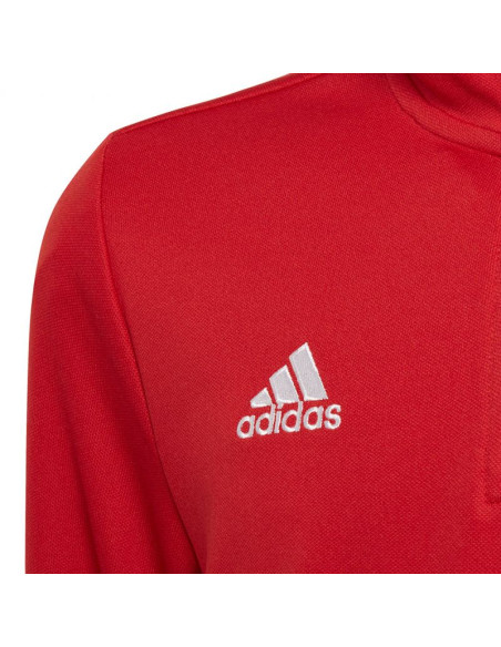 Bluza adidas entrada 22 tr top jr