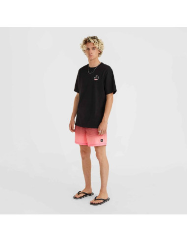 Szorty kąpielowe o'neill jack cali gradient 15'' swim shorts m