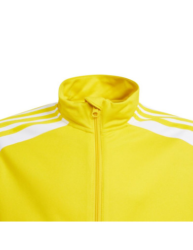 Bluza adidas squadra 21 training youth jr gp6453