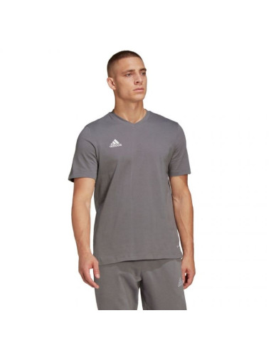 Koszulka adidas entrada 22 tee m hc0449