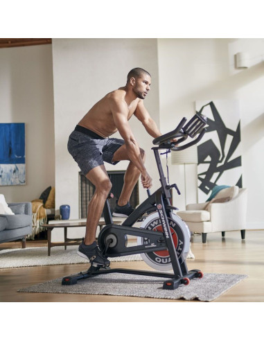 Rower spinningowy schwinn ic7