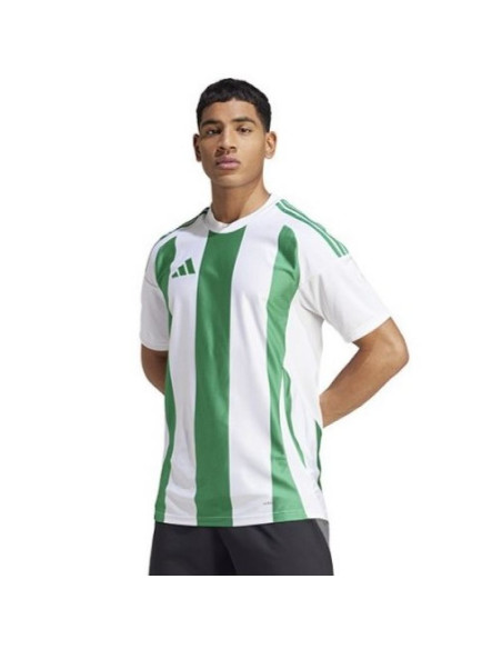 Koszulka adidas striped 24 jsy m