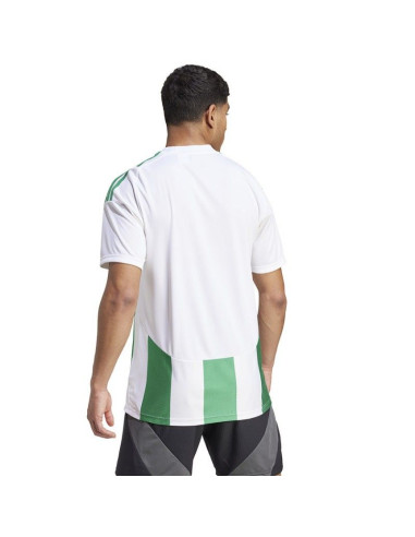 Koszulka adidas striped 24 jsy m