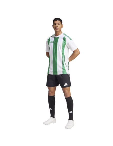 Koszulka adidas striped 24 jsy m