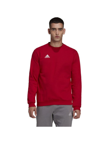 Bluza adidas entrada 22 sweatshirt m hb0577