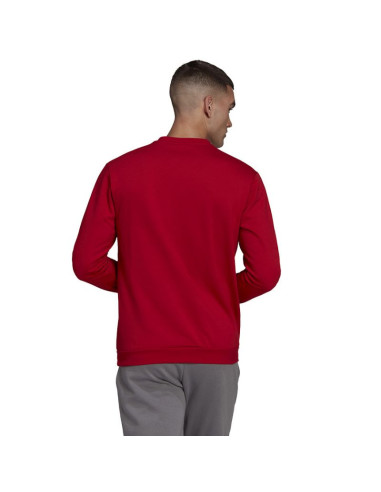 Bluza adidas entrada 22 sweatshirt m hb0577