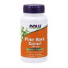 Pine Bark Extract - Ekstrakt z kory Sosny (90 kaps.)