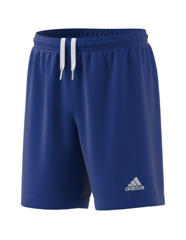 Spodenki adidas entrada 22 jr